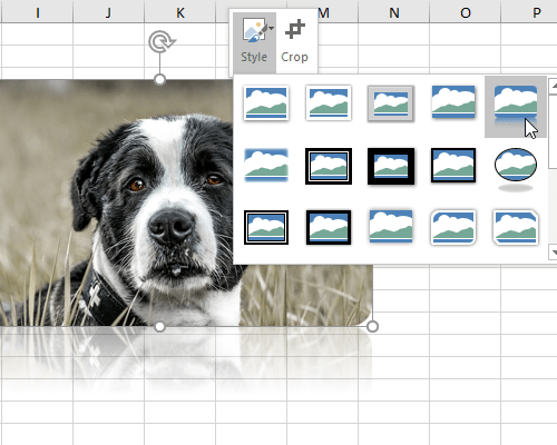 How to Add Frames to Pictures in Microsoft Office
