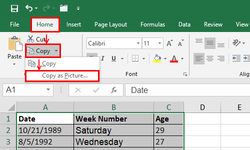How to Copy and Paste Excel Table as a Picture