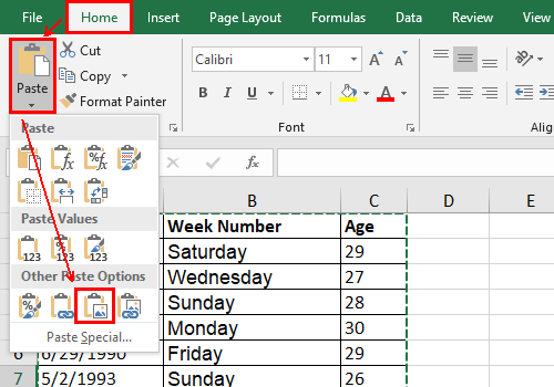 How to Copy and Paste Excel Table as a Picture