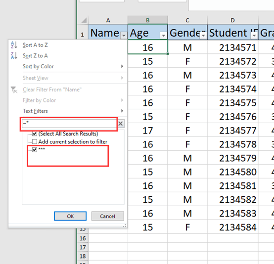 Excel Tips and Tricks of Filter Function Excel Tips and Tricks of Filter Function