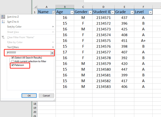 Excel Tips and Tricks of Filter Function Excel Tips and Tricks of Filter Function