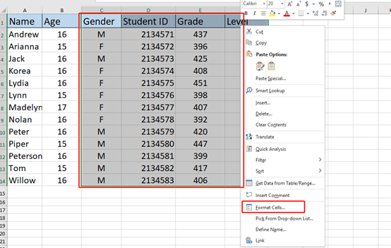 How To Hide Cell Contents In Excel
